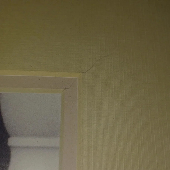 💙🌹 dressed to kill print - Picture 5 of 5